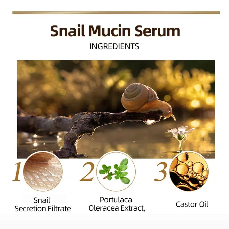 Snail Mucin Serum,Aging Resisting Face Serum For Dull Skin Snail Mucin Serum,Aging Resisting Face Serum For Dull Skin