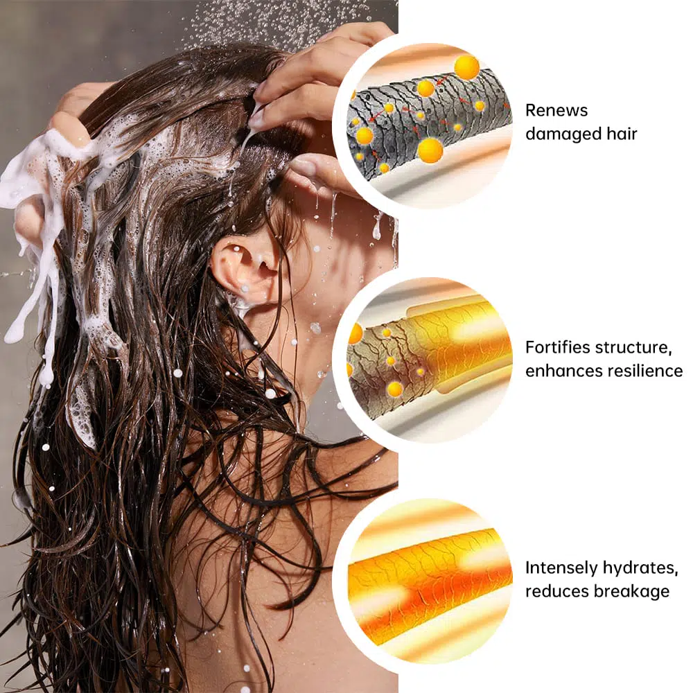 Jojoba Seed Oil Shampoo & Conditioner -Gzperfectlink Jojoba Seed Oil Shampoo & Conditioner -Gzperfectlink