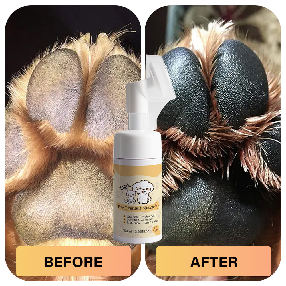 Paw Cleansing Mousse for Pets, Bodycare Supplier-Gzperfectlink Paw Cleansing Mousse for Pets, Bodycare Supplier-Gzperfectlink