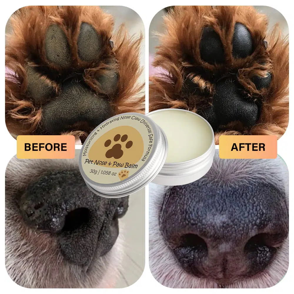 Dog Nose and Paw Balm,Personal Care Private Label Supplier Dog Nose and Paw Balm,Personal Care Private Label Supplier