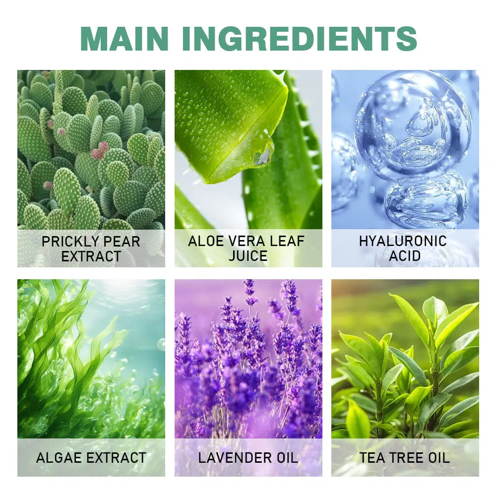 Prickly Pear Revive Skin Gel,Skincare Manufacturer In China Prickly Pear Revive Skin Gel,Skincare Manufacturer In China